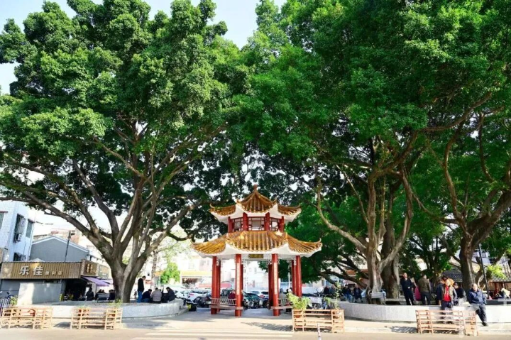 以“微改造+深活化”留住乡愁与烟火气！推动城中古村焕发新生